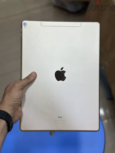 ipad pro 13 inch 256