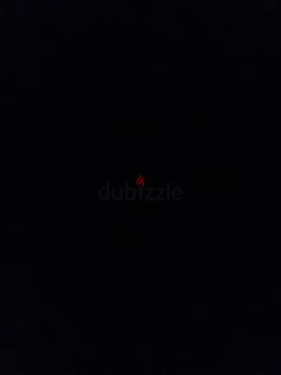 عايز كلب تبني ياريت يكون دكر  وسنه من ٢_٧