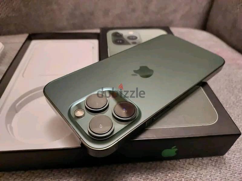 13pro 2