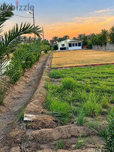 مزرعه للبيع 10 فدان ملك مسجل