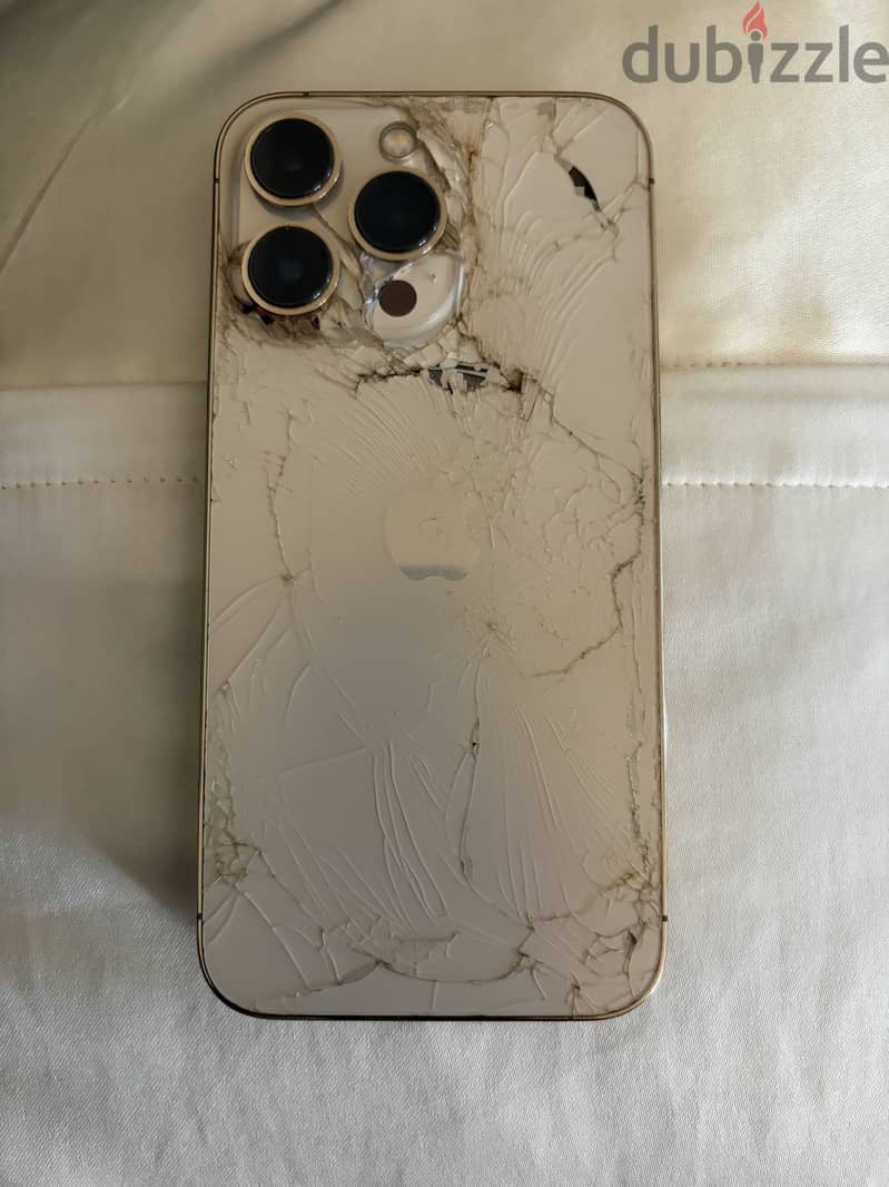 Apple - iPhone 13 Pro 256Gb 1