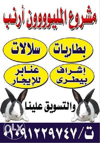 مشروعى مستقبلى