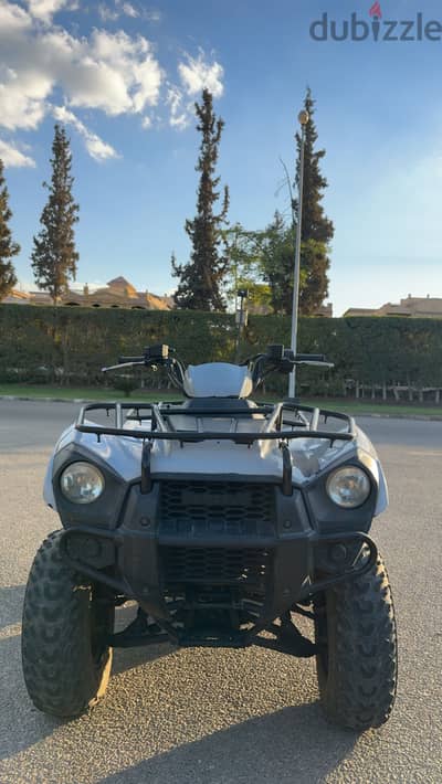 Kawasaki 300 brute force 2016