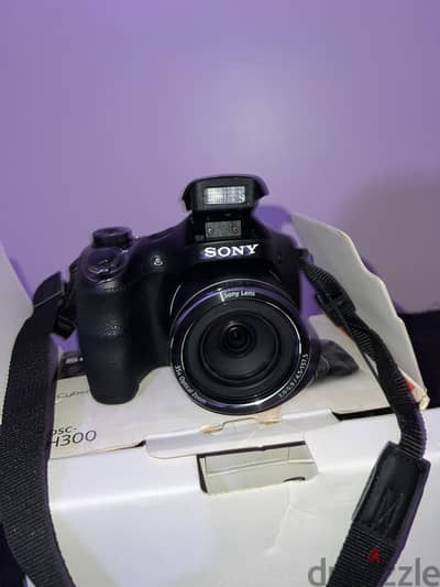Sony dsc h 300