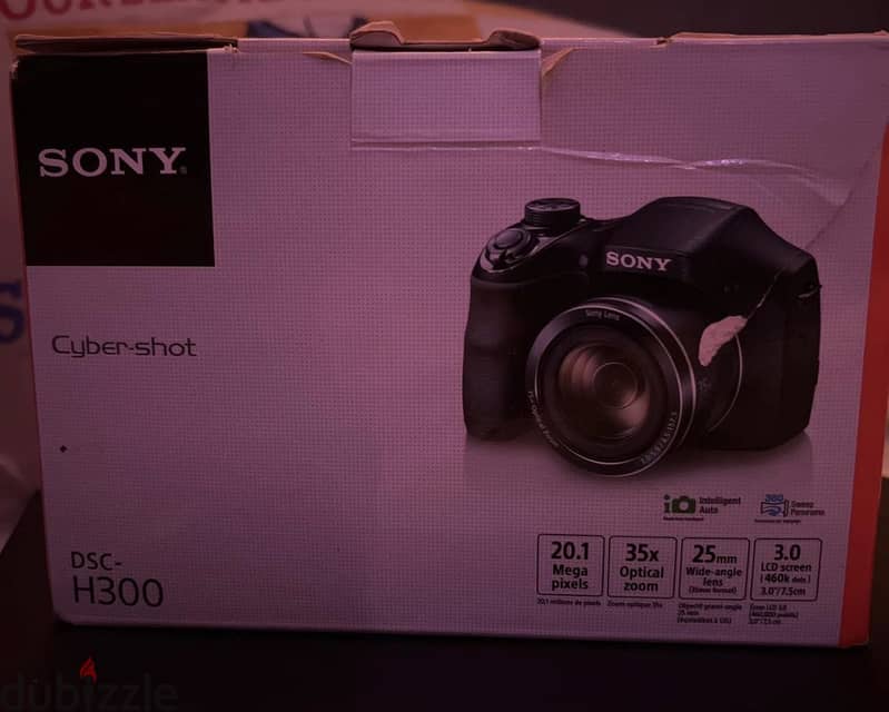Sony dsc h 300 1