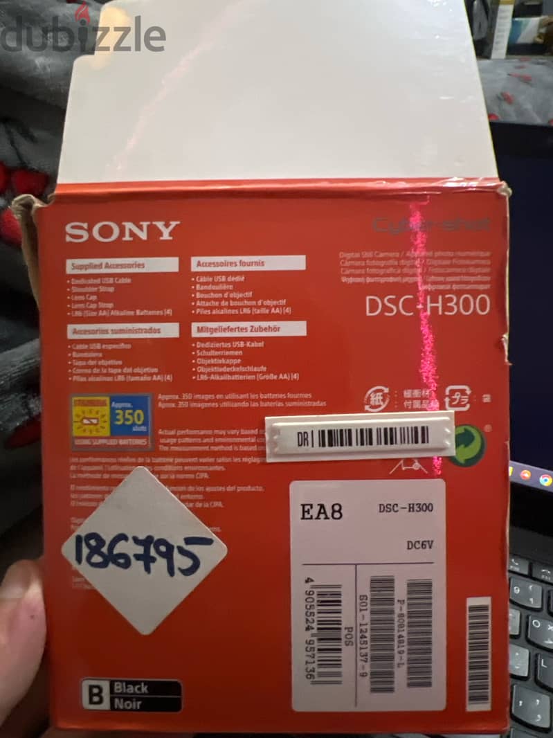 Sony dsc h 300 2