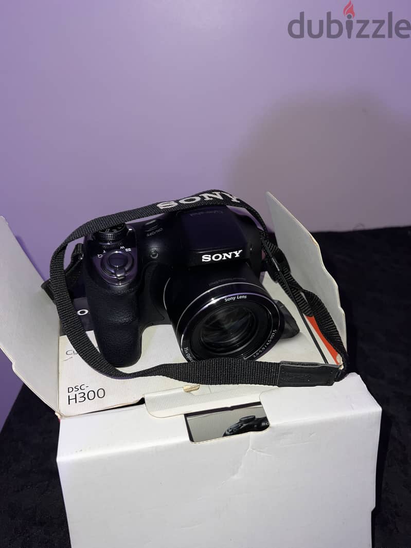 Sony dsc h 300 4