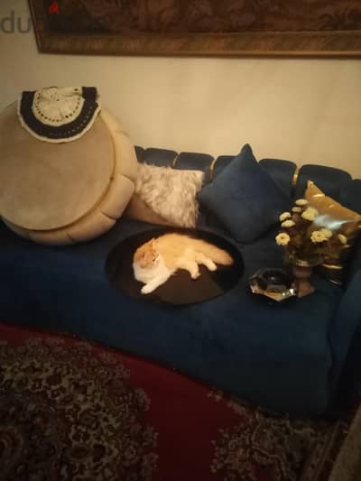 للبيع انتريه لسه جديد مودرن