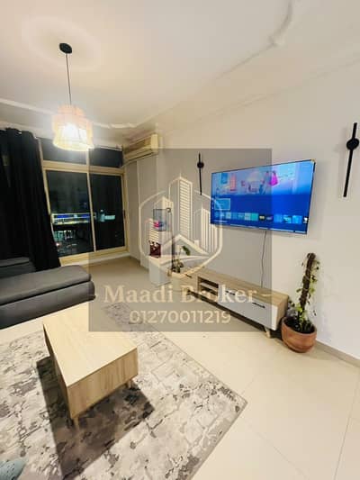 Furnished apartment for rent in New Maadi on Aslaki Street