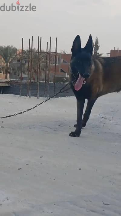 متاح نتايه 9شهور تفاصيل من الي خلصت
