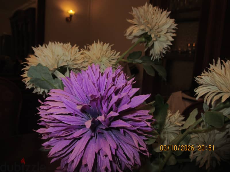 Canon ixus 145 7