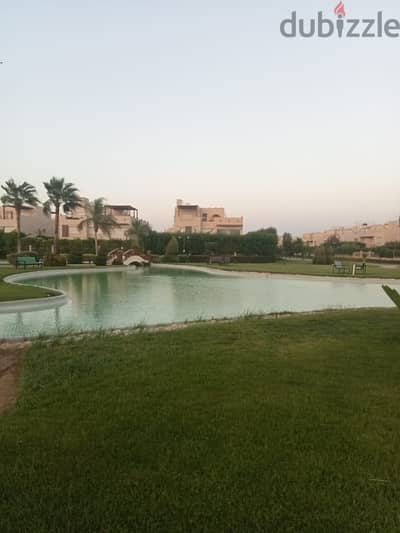 فيلا ايفرجرين