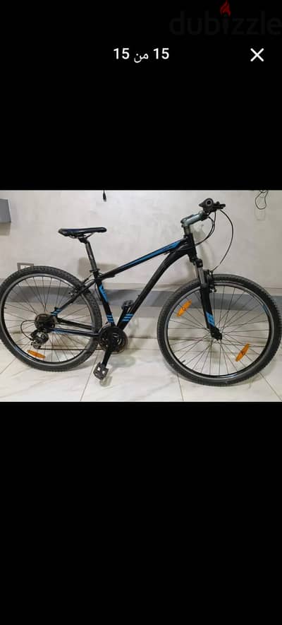 Giant Revel  29