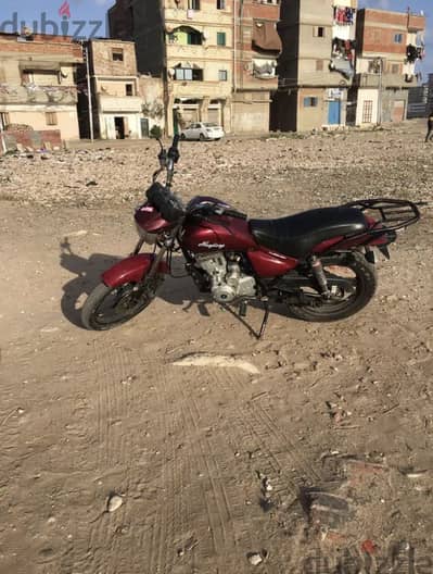 هوجن ٣ ارنبه