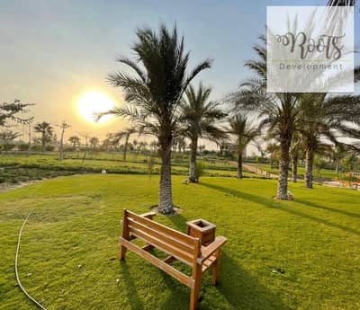 Standalone Villa for sale with the largest plot size, ready for delivery, in a prime location within Ivy Compound – New Zayed. Standalone Villa for sale with the largest plot size, ready for delivery, in a prime location within Ivy Compound – New Zayed.