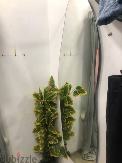 مرايه بطول كامل و معلقه for sale