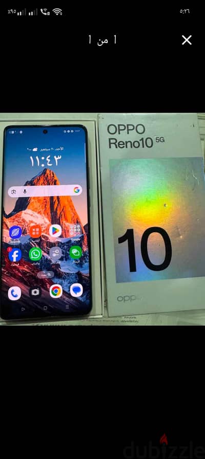 اوبو رينو 10