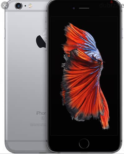 Iphone 6s plus