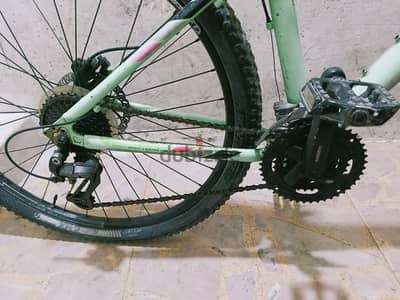 Trek marlin7