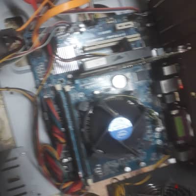 بندل جيل تالت اي سفن