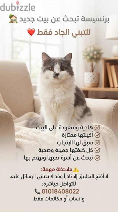 الاسم: سكرة