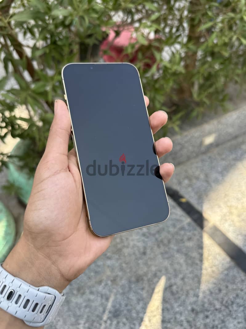 Apple - iPhone 13 Pro Max 1