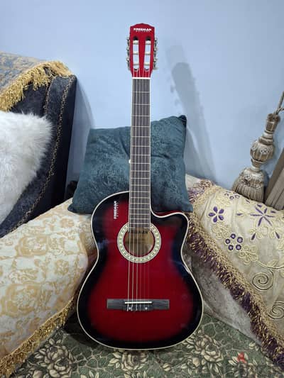 6 string Acoustic Guitar
