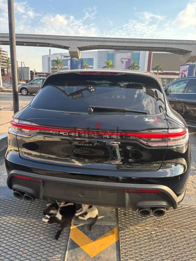 Porsche Macan T 2026