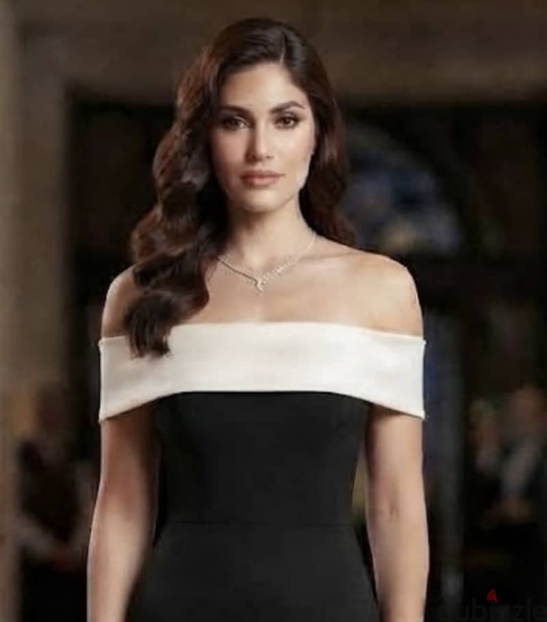 Evening dress 2