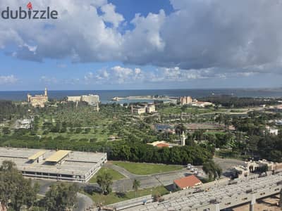 For rent, an apartment with a view is only available in the heart of the park at a special price