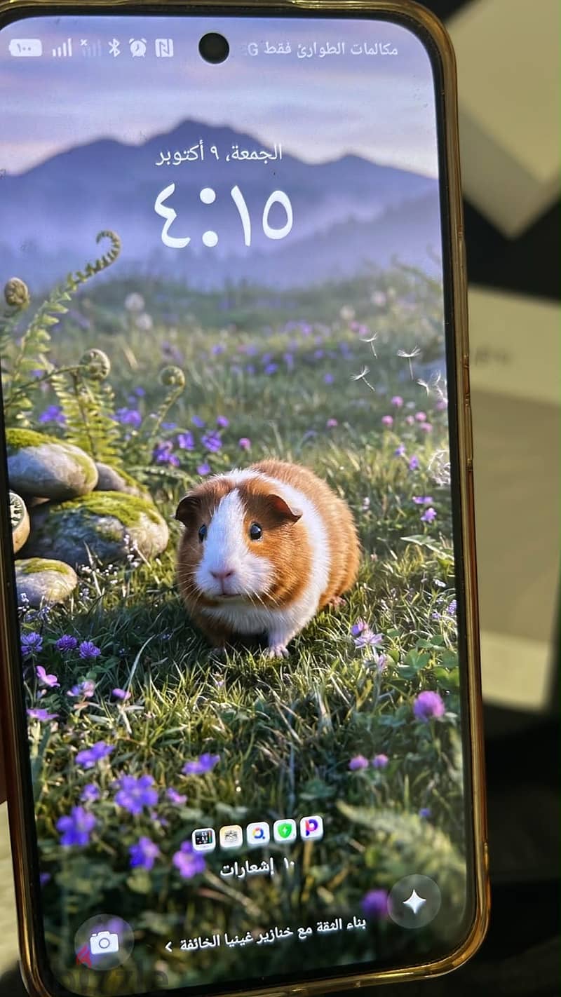 OPPO Reno 14 1