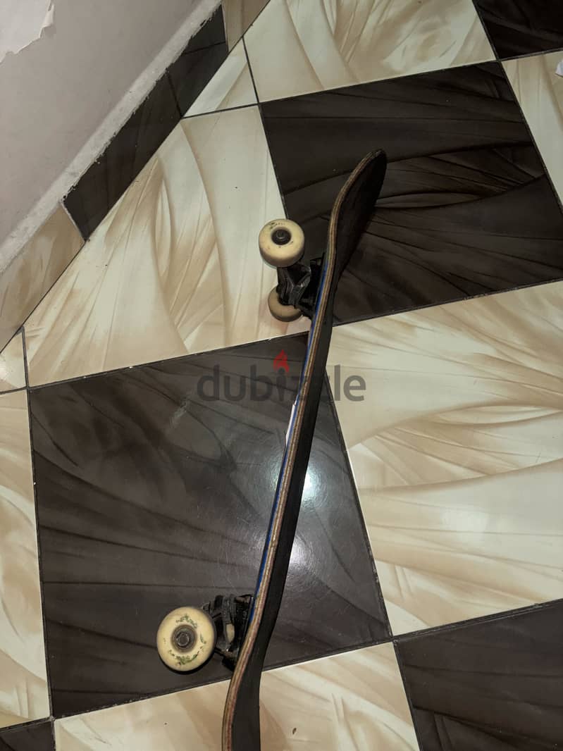 Skateboard 1