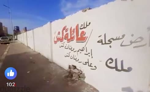 ارض ع محور المحموديه