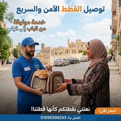 توصيل القطط داخل الاسكندريه