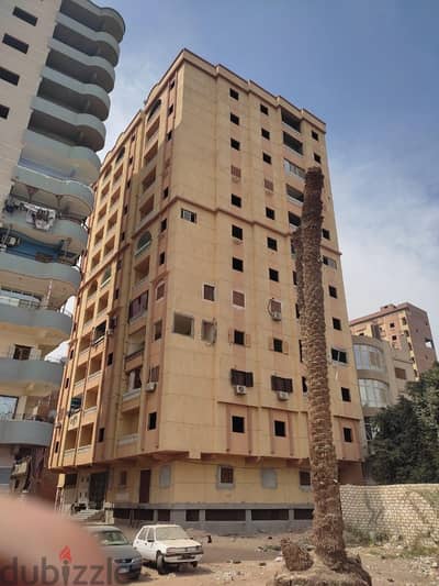 شقة اسيوط. . . ابوتيج
