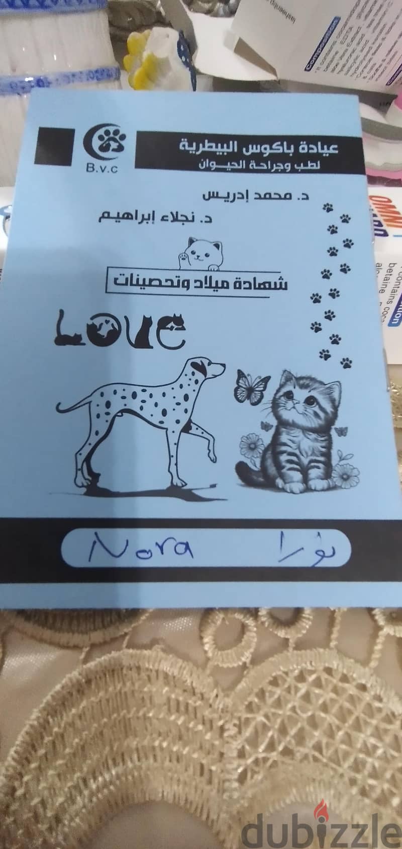 Egyptian or sphynx kitten 2