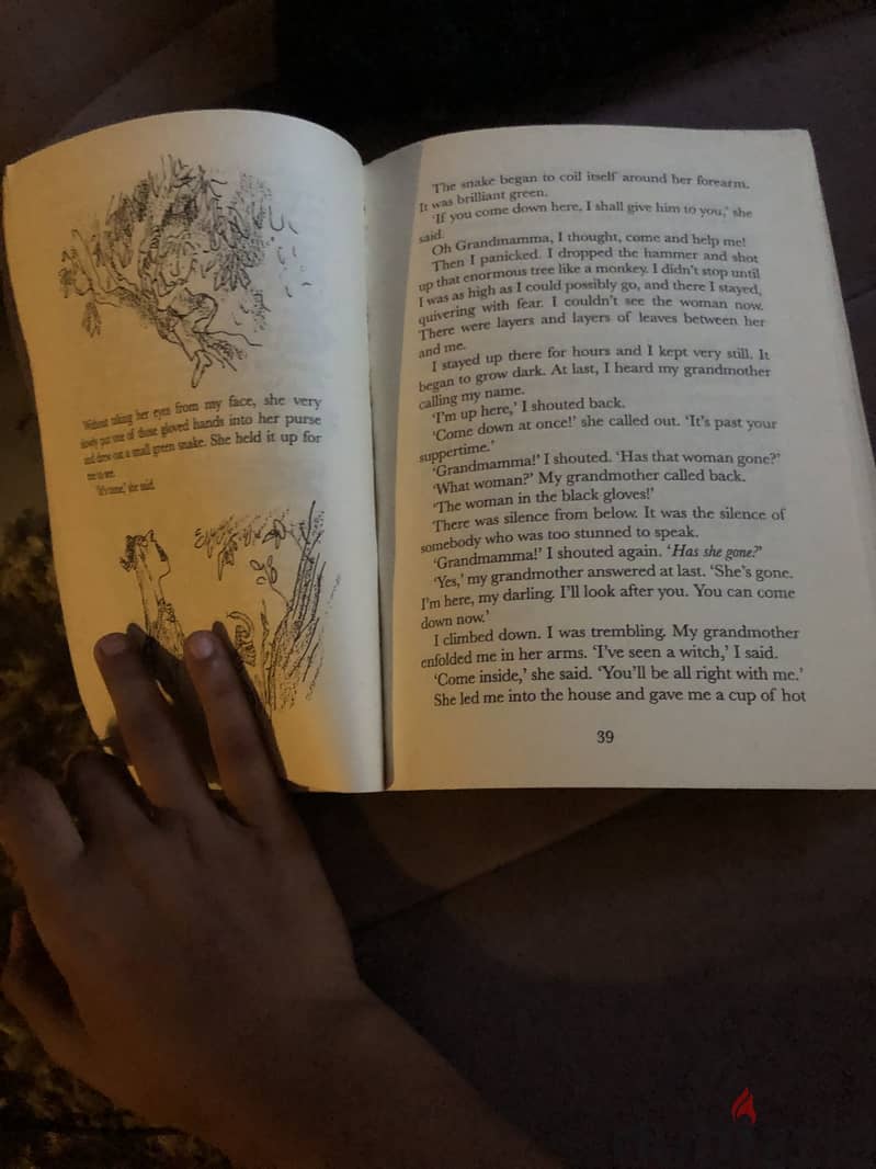The witches book 1