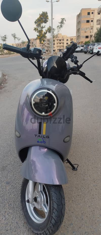 tailg frozen electric scooter
