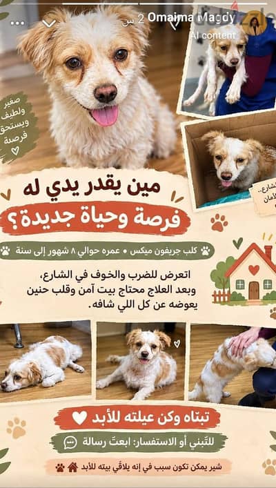 جريفون تبني