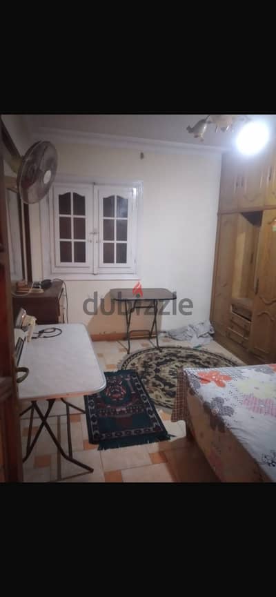 شقة إسكندرية