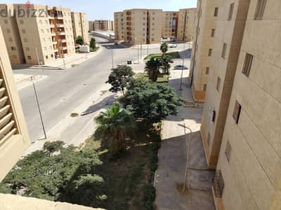 شقة م. بدر الحى السابع