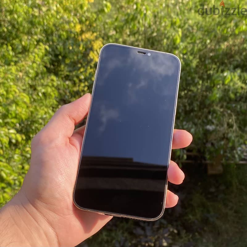 Apple - iPhone 12 Pro Max 256GB 5