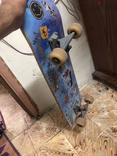 Skateboard / سكيت بورد