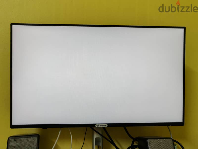 dell P2425H 1