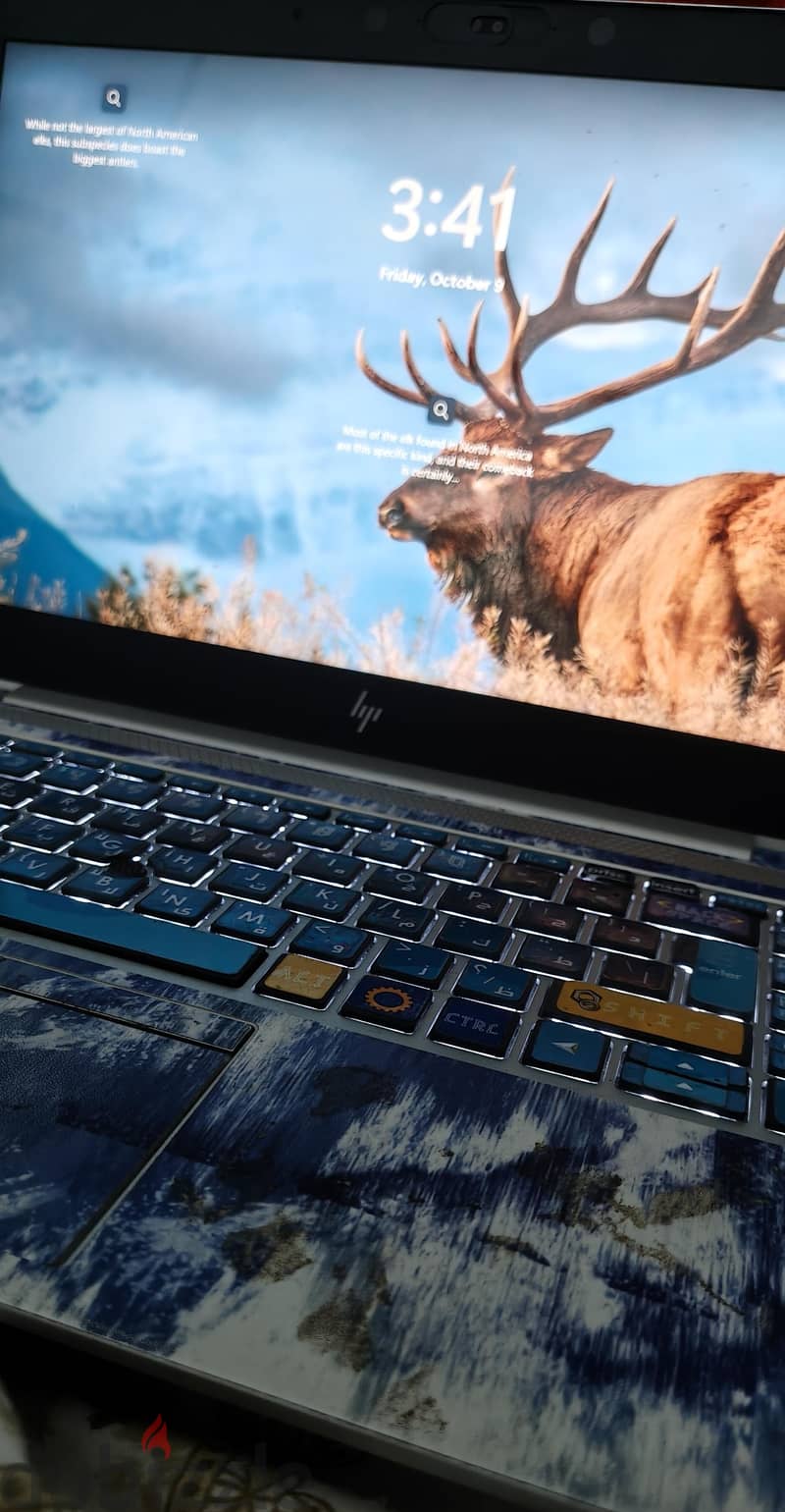 HP NOTEBOOK 4