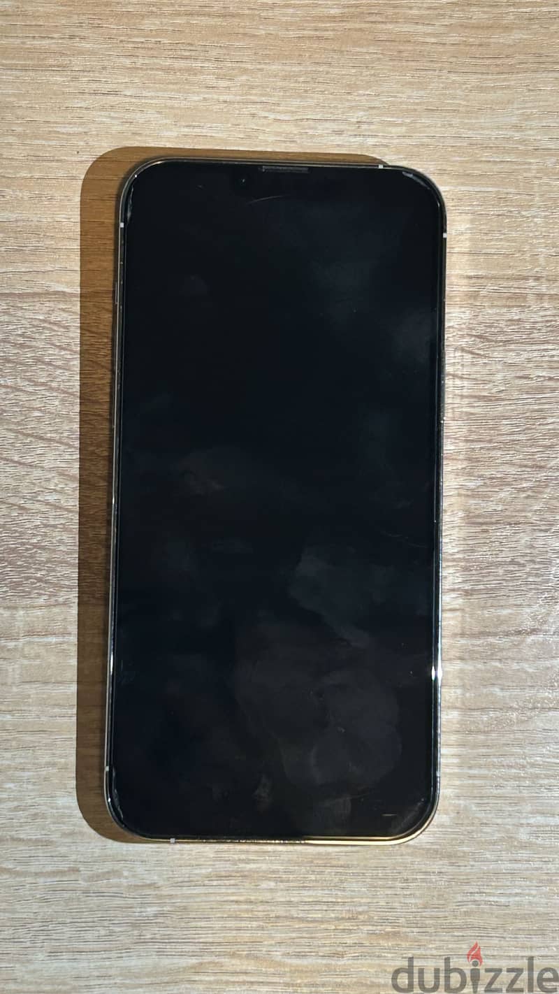 Apple - iPhone 13 Pro Max 1