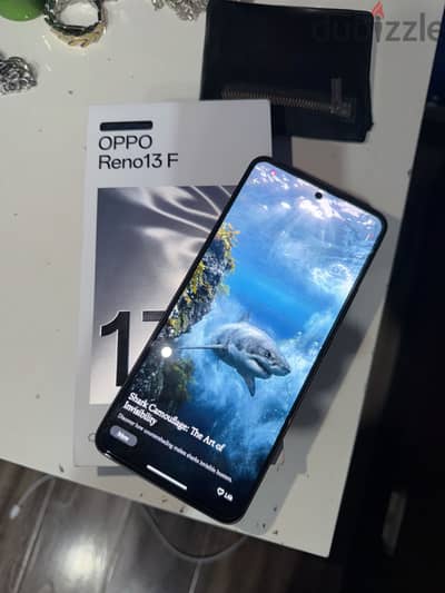 OPPO Reno13 F