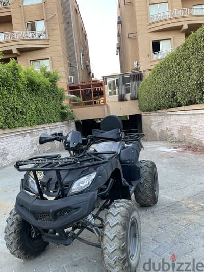 بيتش باجي