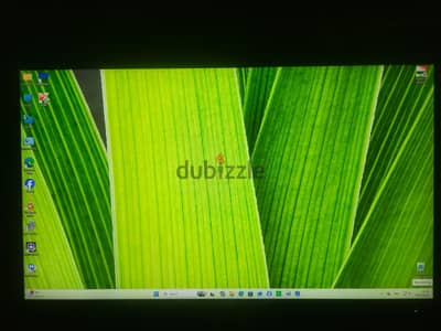 Dell P2419H ips frameless شاشة كمبيوتر ٢٤ بوصة