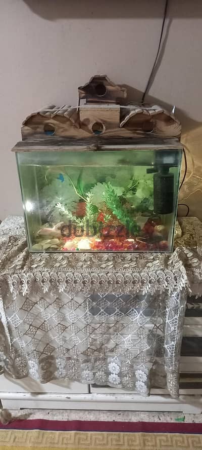 فرصه حوض سمك ممتاز